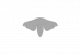 AnyConv.com__falena-logo-GRIGIO AnyConv.com__falena-logo-GRIGIO
