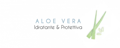 aloe-vera aloe-vera