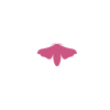 falena-logo-FUCSIA falena-logo-FUCSIA