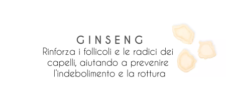 ginseng