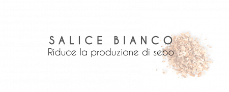 salice-bianco salice-bianco
