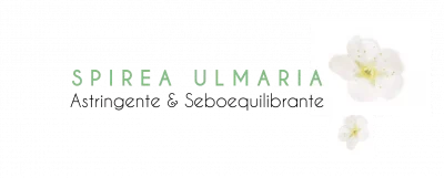 spirea-ulmaria spirea-ulmaria